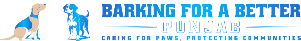 barkingforabetterpunjab.org