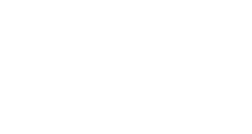 Barking For A Better Punjab, India Caring For Paws, Protecting Communities